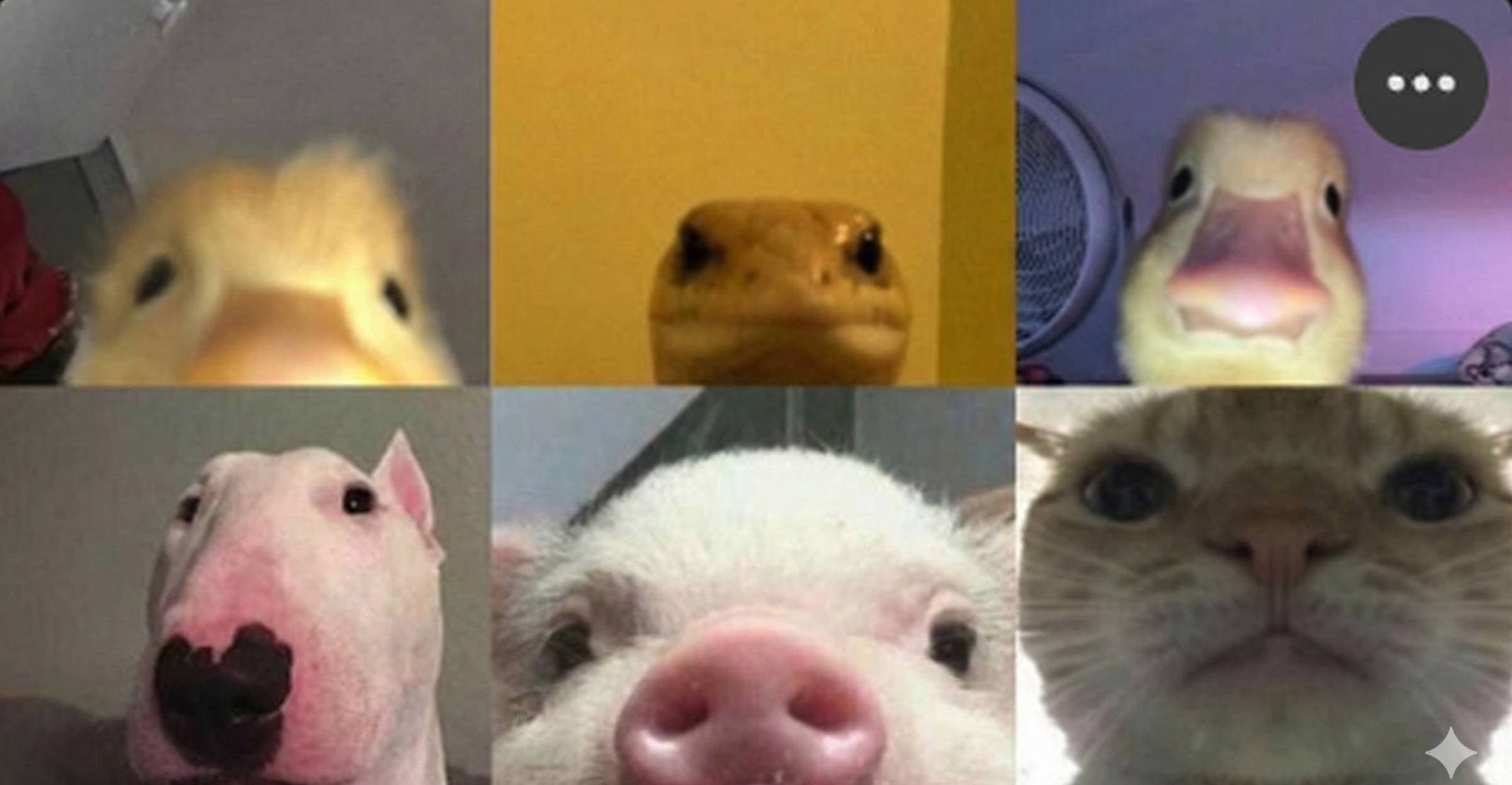 #14 - Mała społeczność, duży efekt